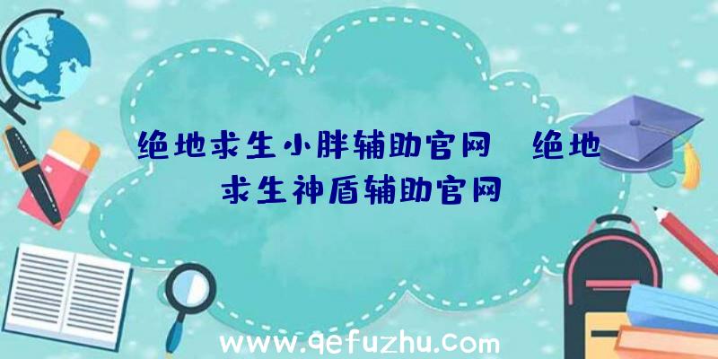 「绝地求生小胖辅助官网」|绝地求生神盾辅助官网